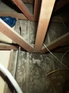 ceiling filth